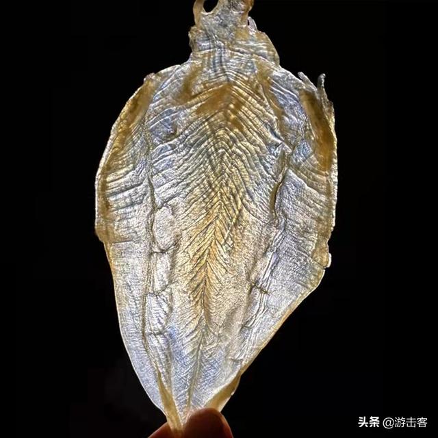 印尼花胶多少钱一斤 2026年印尼花胶值得买吗