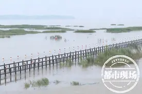 九江永修：“最美水上公路”被淹，今起车辆禁行图片