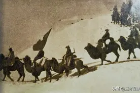 解放军中一支鲜为人知的部队，骆驼兵团图片