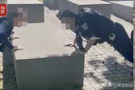 在大屠杀纪念馆做俯卧撑，柏林警察遭猛批图片