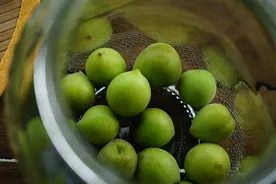 四月最值得酿的青梅酒，用粮食酒还是用米酒酿？选对酒成功大半图片