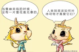小伙卖出两只饲养鹦鹉后涉罪被抓！养鹦鹉获刑不冤？图片