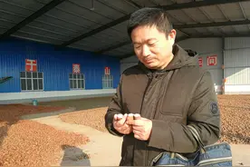 种植怪象：安徽农民去邻省出高价租地种药材，其中深藏啥玄机？图片