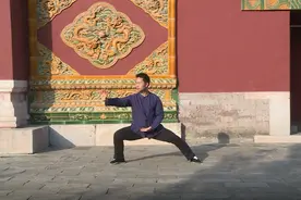陈式太极拳新架二路分解教学 3 懒扎衣图片