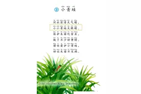 3小(xiǎo)青(qīnɡ)蛙(wā)图片