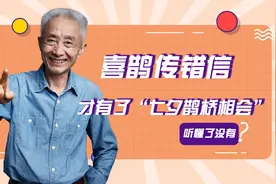 戴建业魔性解读：七夕节，喜鹊为什么要搭桥？图片