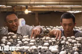 山海情：蘑菇滞销八方支招，教授原型最实用，网友的招太狠接不住图片