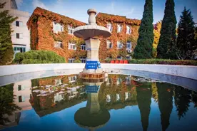 湖北复航！大连理工大学80后“机长”执飞首趟航班！图片