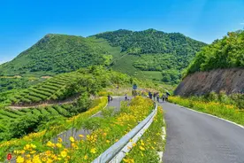 四十个宁波古道风景，你喜欢哪个？图片