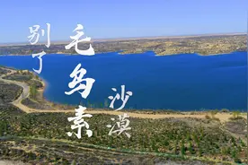 别了，毛乌素沙漠图片
