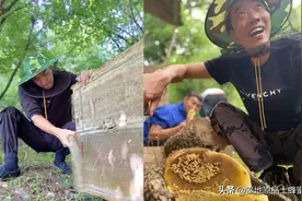 深度揭秘丨割蜜骗局，春蜜与冬蜜从未存在过图片