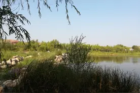 修驴蹄子的视频播放量好大 是需要解压的人多吗图片