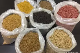 漫谈基础饵：高蛋白颗粒、开口料、能量料的钓鱼选择和避坑技巧图片