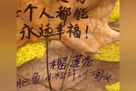 浪漫唯美！交大学生用梧桐落叶做许愿墙图片