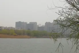 "高烧"的聊城房价图片