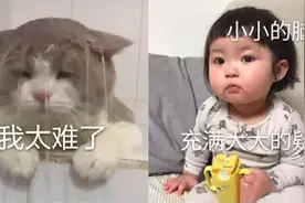 孩子到了数学大题应用题就挠头，怎么办？图片