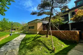 直通北京！河南济源这条森林步道有多美？随手一拍就能当壁纸图片