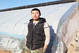 在农村扣一亩地大棚需要多少钱？一年能挣多少钱？大哥说出大实话视频封面