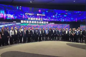 天猫好房欲颠覆行业生态，阿里、易居的合作还能走多远？图片