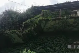 忆铜陵市枞阳县井边村铜矿图片