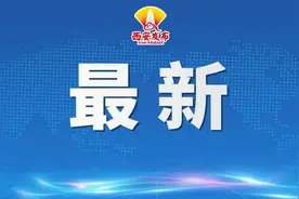 十五个反面典型！西安市乱占耕地建房典型案例汇编图片