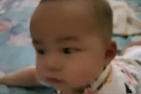 我的生产日记图片