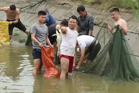 汨罗：城管队员忙捕鱼，贫困户主乐呵呵图片