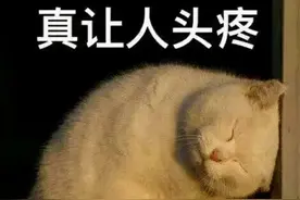 速看！健康码、行程码大变化！图片