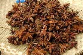 揭秘34种常用香料的名称与用法图片