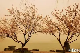 北京沙尘暴肆虐，网友们的调侃更出圈！一个个也太能说了吧？图片