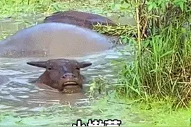 分享一组高清撩妹表情包，男生撩妹必备！撩到她心里图片