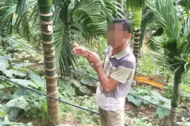 盗贼无情警有情 贼落法网慰民心 薛日荣王华舟两队破获盗窃槟榔案图片