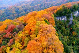 红叶打卡胜地——光雾山旅游区图片