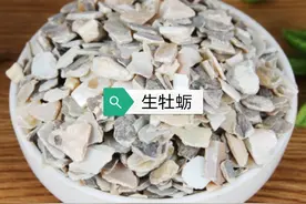 中药古今研究：牡蛎肝、肾血分图片