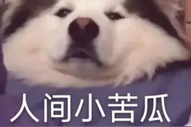 暧昧让人受尽委屈，为什么你的暧昧都无疾而终？图片