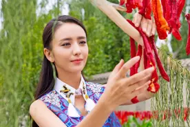 女神佟丽娅回老家，大口吃大馕 新疆羊肉串，回忆童年时光图片