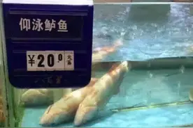 青木牌养鱼真经图片