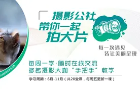 【摄影公社】             如何拍摄小动物图片