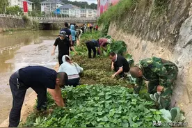 凤城街道分段包干创新河道治理模式图片
