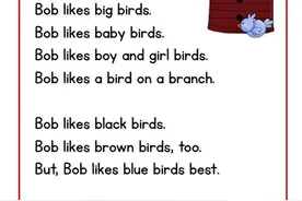 英语原版阅读：自然拼读故事 The Birds图片