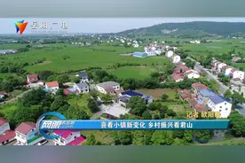 喜看小镇新变化 乡村振兴看君山图片