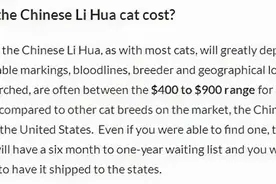 被CFA认证除名的中国狸花猫，到底有多优秀图片
