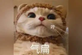 沙雕表情包：有被气到，谢谢图片
