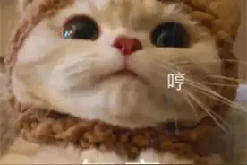 沙雕表情包：有被气到，谢谢图片