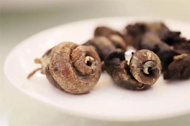花胶干鲍鱼螺肉煲鸡的做法 2026年花胶干鲍鱼螺肉煲鸡的做法和功效