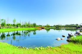 五城区第一！前三季度锦江空气质量优良天数达220天图片