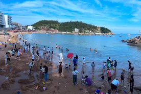 这个盛夏，来洞头大门，看花看海看虾蟹图片