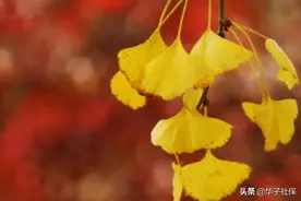 青海企业退休人员死亡有多少钱？图片