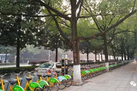 天台路记忆图片