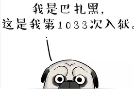 一只狗对自由的向往图片